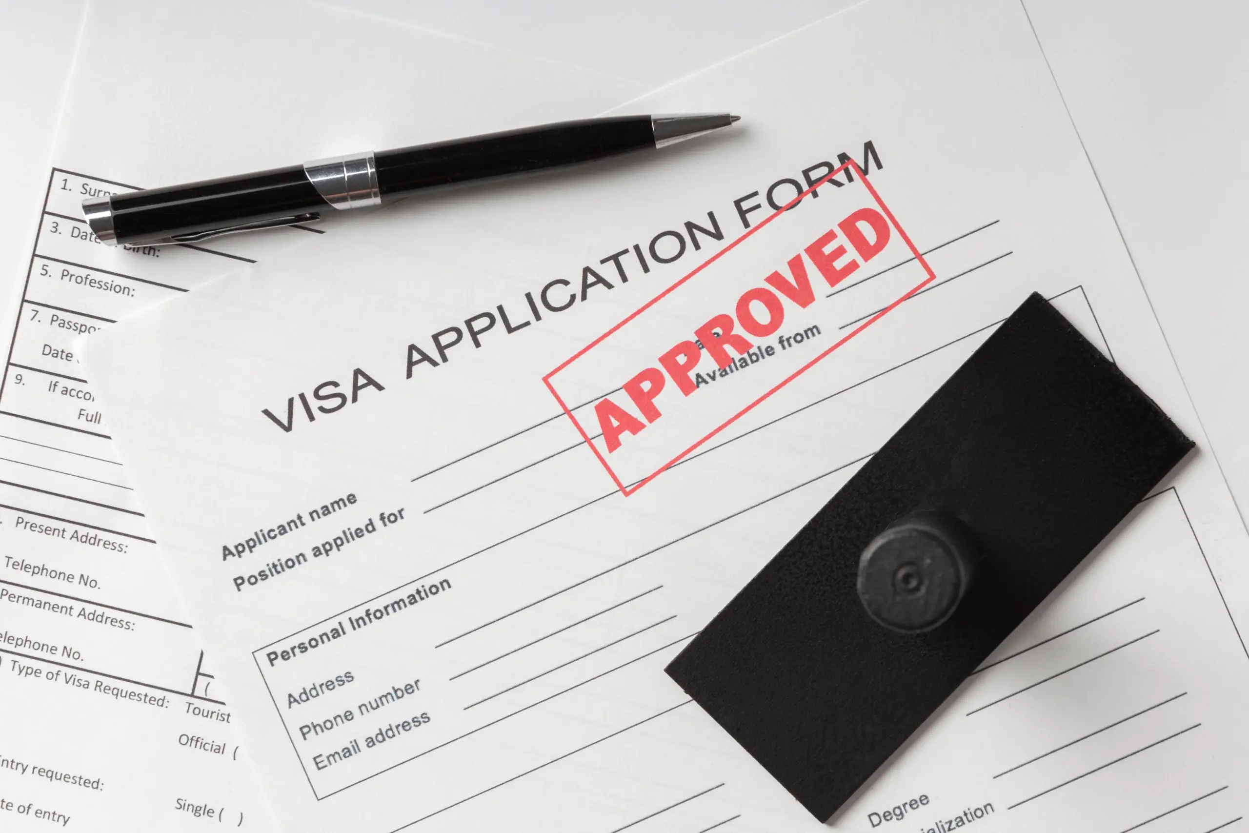 flat lay visa application assortment (1)