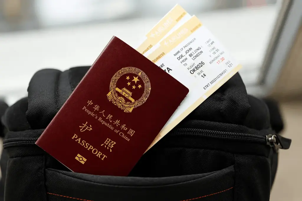 visa expatriat