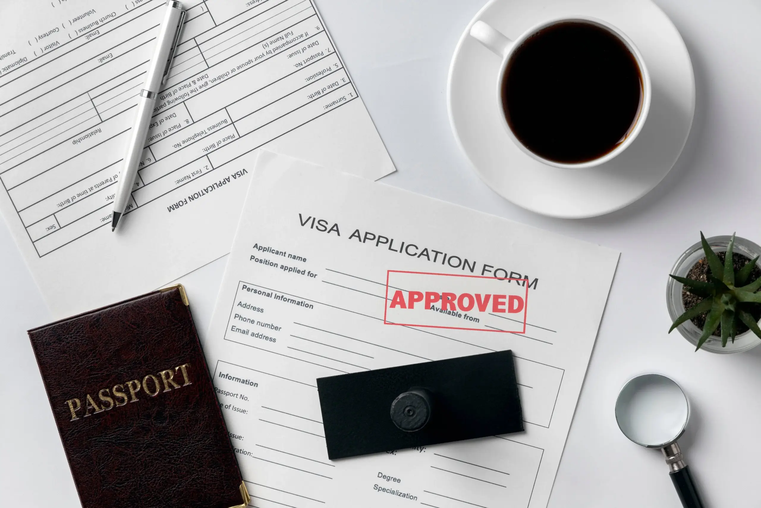 flat lay visa application assortment (2) (1)